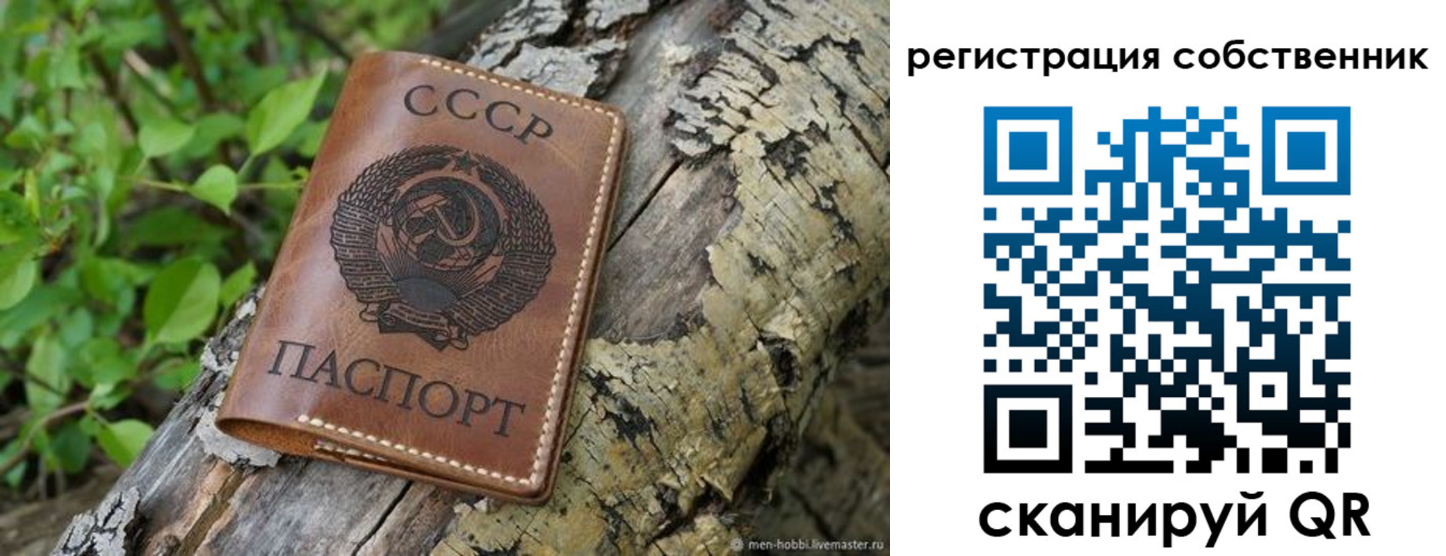 форма 3 в Стародубе